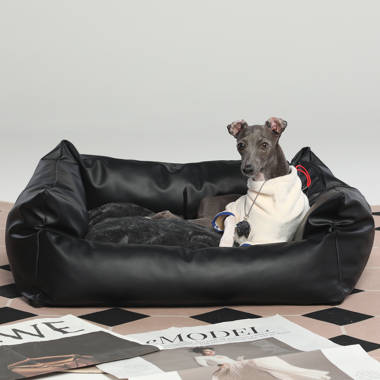 Leather 2024 dog chair